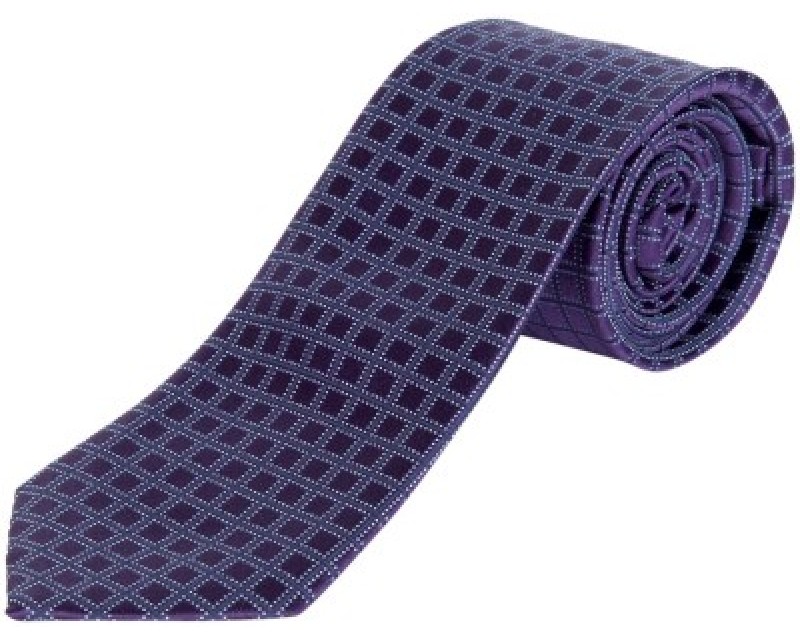 Park Avenue Checkered Men's Tie